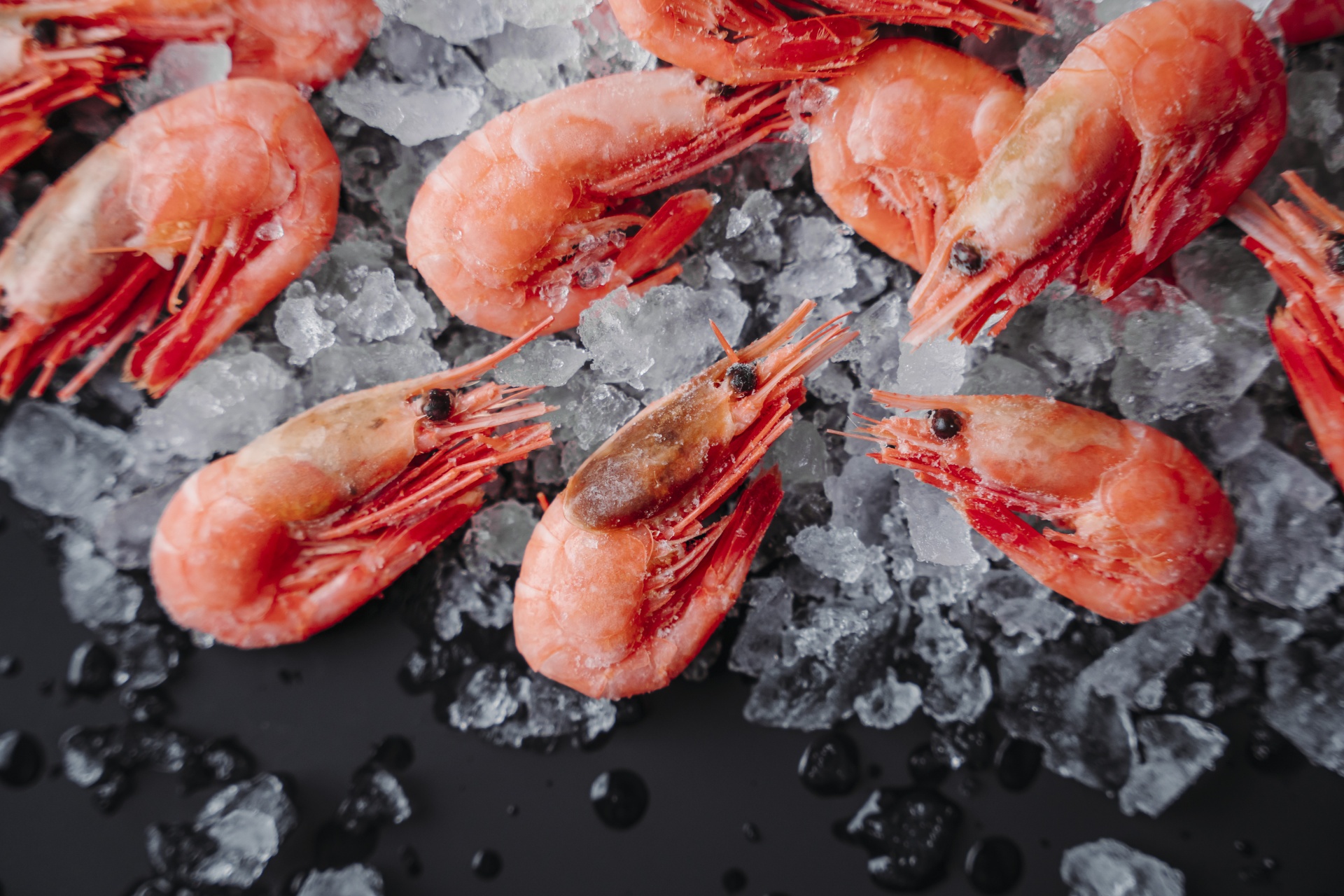 Креветки северные