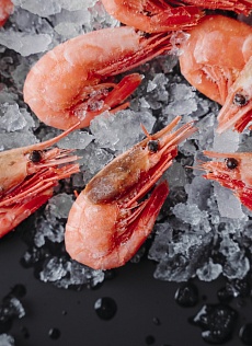 Креветки северные